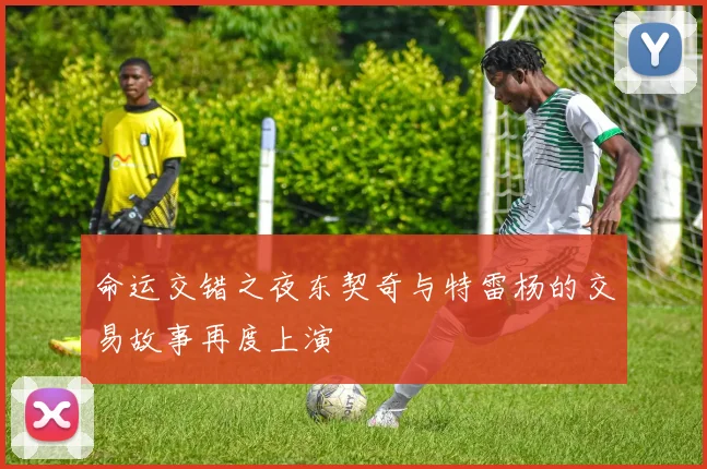 命运交错之夜东契奇与特雷杨的交易故事再度上演