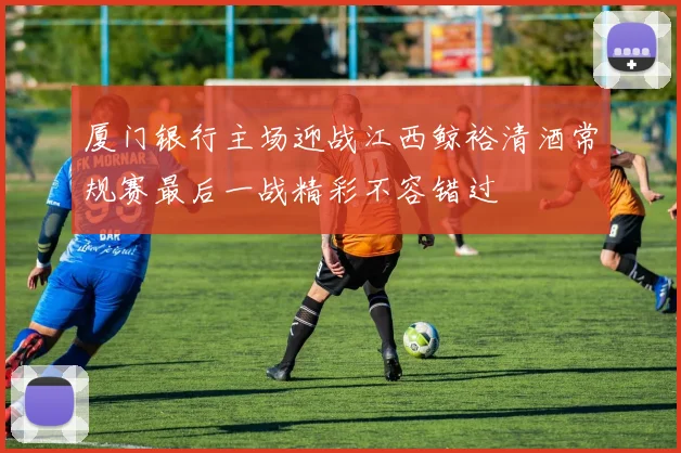 厦门银行主场迎战江西鲸裕清酒常规赛最后一战精彩不容错过
