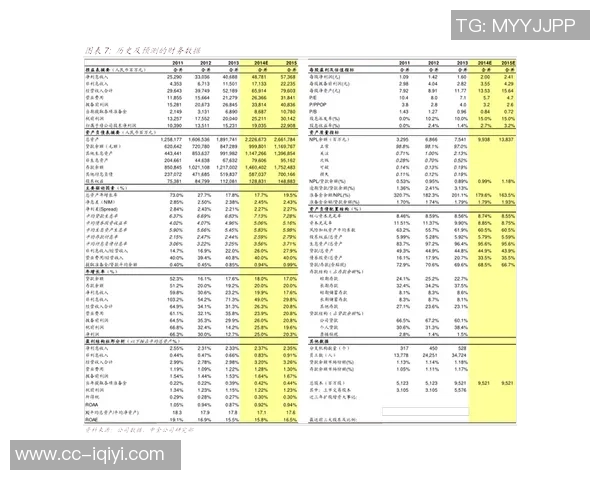 关于2017年历史问题处罚的公告及其影响分析与后续措施探讨 关于2017年历史问题处罚的公告及其影响分析与后续措施探讨